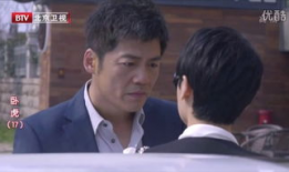 卧虎电视剧,暗夜中的正义守护者